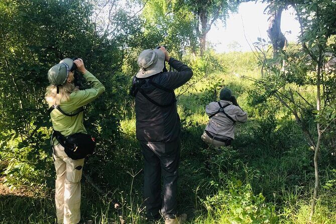 Full Day Birding Zambezi National Park Includes Picnic Lunch - Key highlights at a glance