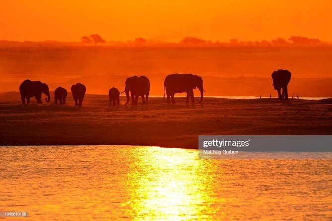 Full Day Chobe National Park Big 5 Safari - Cruise Time: Why the River Changes the Whole Safari Feel