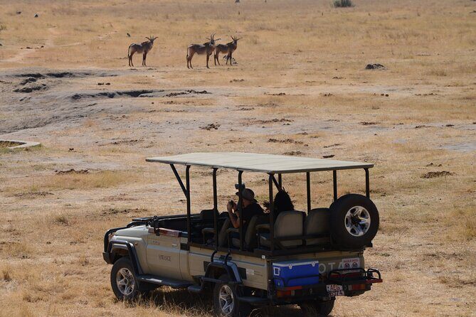 Full Day Chobe Trip with Lunch - Lunch break: staying fueled without losing safari time