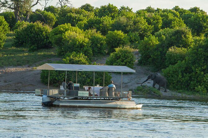 Full-Day Safari Chobe National Park and boat safari - Key things to know before you go