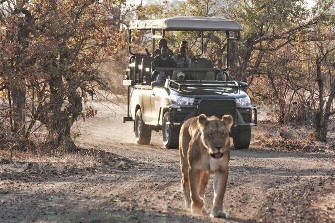 Full-Day Zimbabwe Zambezi National Park Safari & Lunch - Timing, pacing, and how to prepare for an 8-hour day