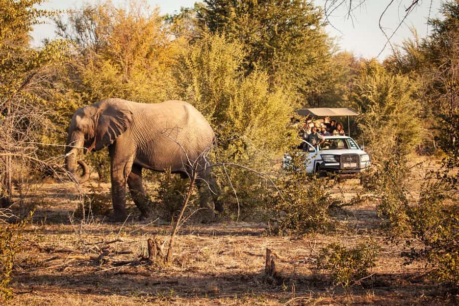 Game drive in Victoria Falls - Open-air vs 4x4: the view is great, but plan for the weather
