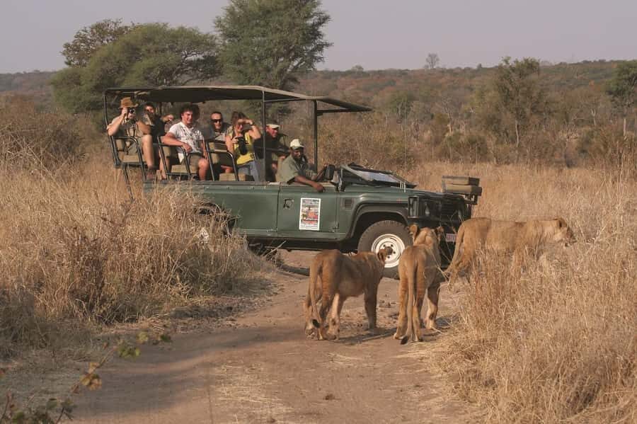 Game drive in Victoria Falls - Terrain skills: what the specialized vehicle is doing for you