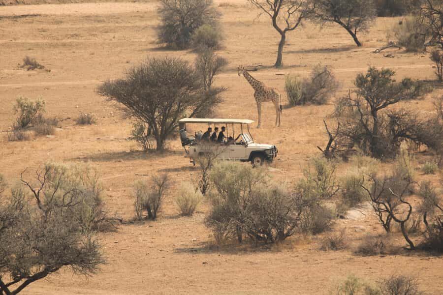 Game drive in Victoria Falls - How the 3 hours are paced (and why it matters)