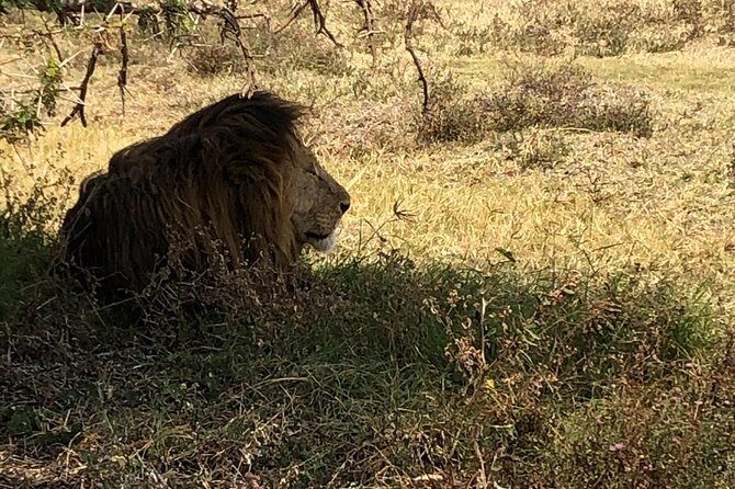 Game Drive in Zambezi National Park Morning or Afternoon - H2: Guides like Sam, and why their spotting skills matter