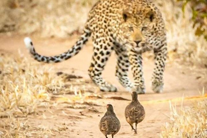 Game Drives - Lunch and water, plus staying comfortable in a chilly truck