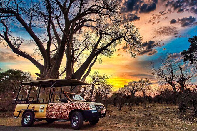 Guided 4x4 Town Safari in Victoria Falls - Price and value: is $38 an hour worth it?