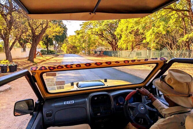 Guided 4x4 Town Safari in Victoria Falls - When to book, and who should choose this tour