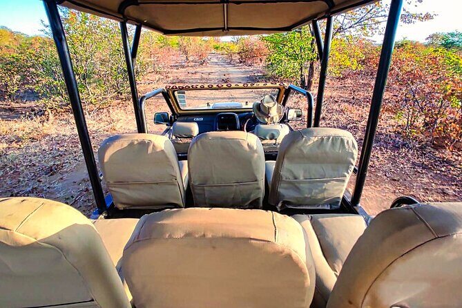 Guided 4x4 Town Safari in Victoria Falls - What to expect from the atmosphere on this safari-town ride