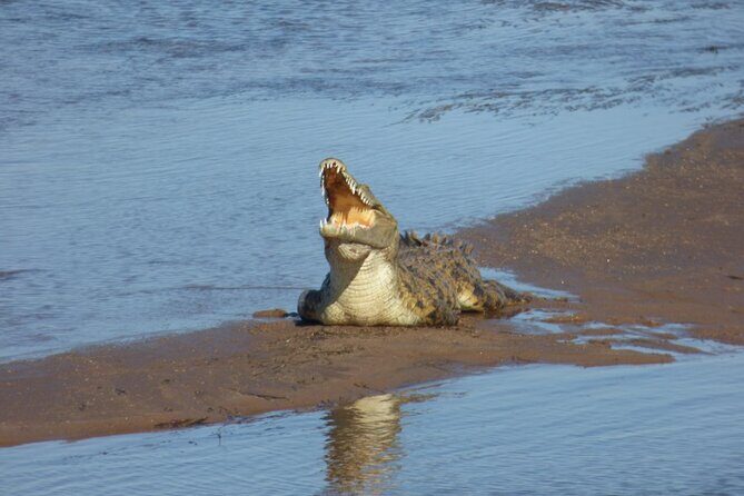Guided Falls Tour & Zambezi River Cruise Combo - Day 2 at Victoria Falls: 15 viewpoint stops and the feeling of the roar