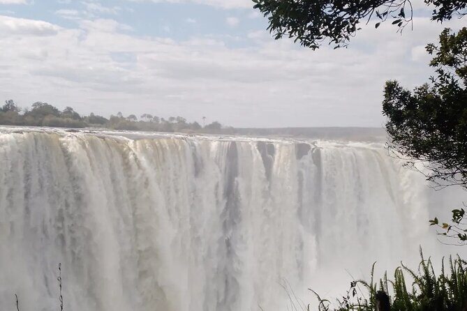 Guided Tour of the Falls - The rainforest walk: what you’ll feel and why it’s worth it