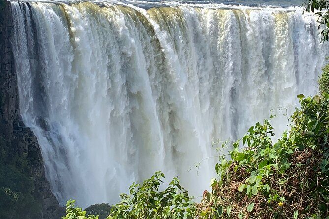 Guided Tour of the Falls Rainforest - Hotel pickup and a private vehicle that respects your schedule