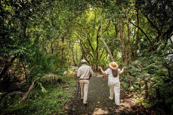 Guided Tour of the Falls Rainforest - The guide makes or breaks the experience: especially MacDonald