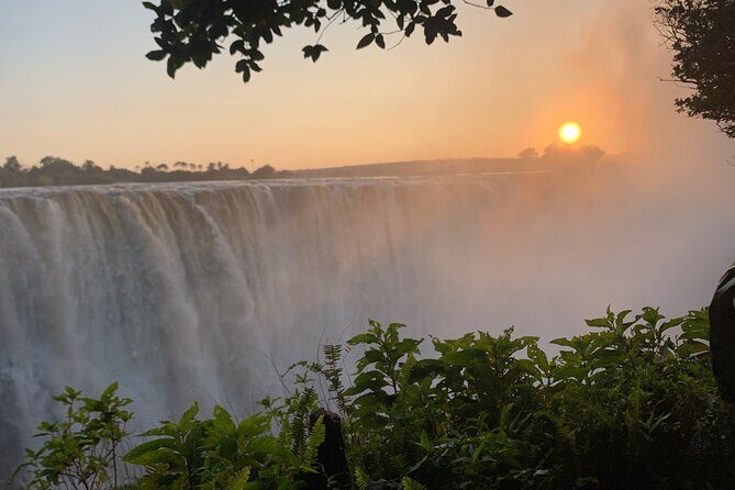 Guided Tour of the Falls Rainforest - Timing and what to plan around during your Victoria Falls day