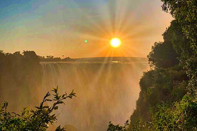 Guided Tour of the Falls Rainforest - Price and value: what $25 really buys you