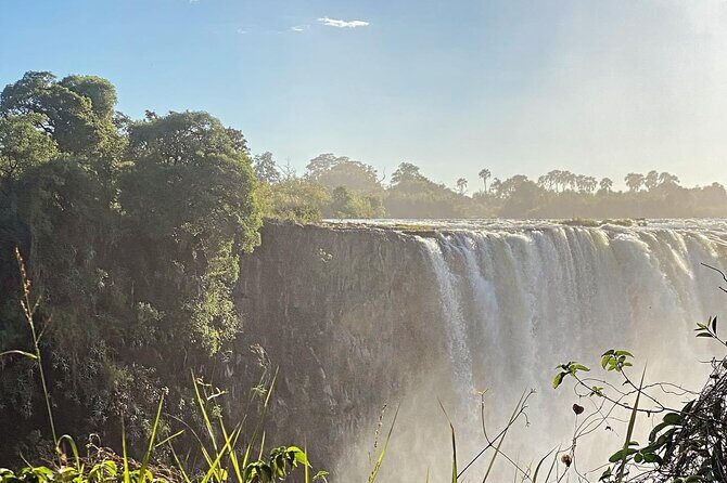 Guided Tour of the Falls Rainforest - Who this tour fits best (and who might want a different style)