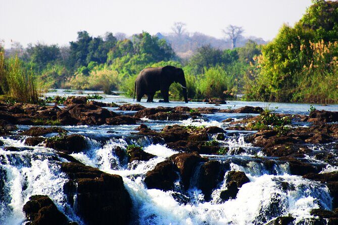 Guided Tour of the Falls (ZIM side) Wildlife Safari, by Savannah - Key highlights at a glance