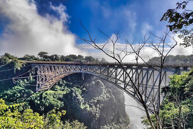 Guided Tour of the Falls (ZIM side) Wildlife Safari, by Savannah - The Victoria Falls experience: mist, rainbows, and guided viewing