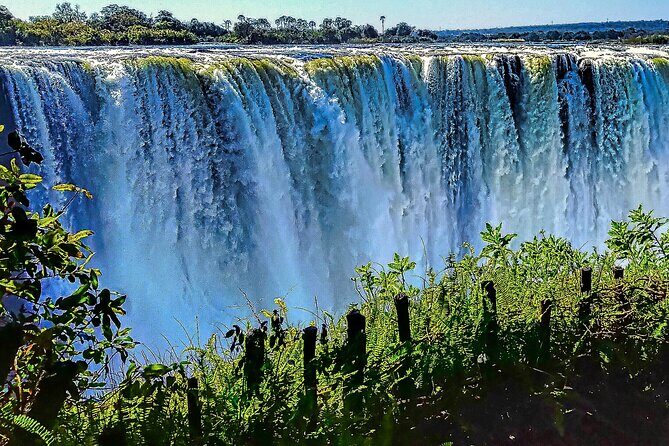 Guided Tour of the Falls (ZIM side) Wildlife Safari, by Savannah - Entering the spray-made rainforest: what changes as you walk in