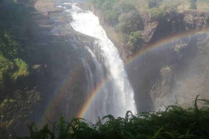 Guided Tour of the Falls (Zimbabwe side) - Rainforest mist walk: where clothes and camera settings matter