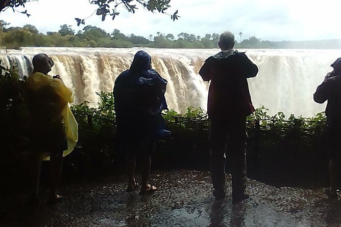 Guided Tour Of the Victoria Falls Zimbabwe - Big Tree Photo Stop: A Friendly Start With Real Context