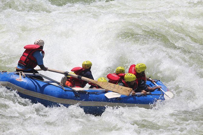 Half Day Zambezi Whitewater Rafting - What Happens on the Water: Paddling, Commands, and Adrenaline