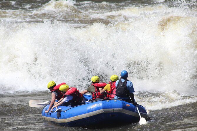 Half Day Zambezi Whitewater Rafting - Price and Value: What $140 Covers (and What You’ll Still Pay)
