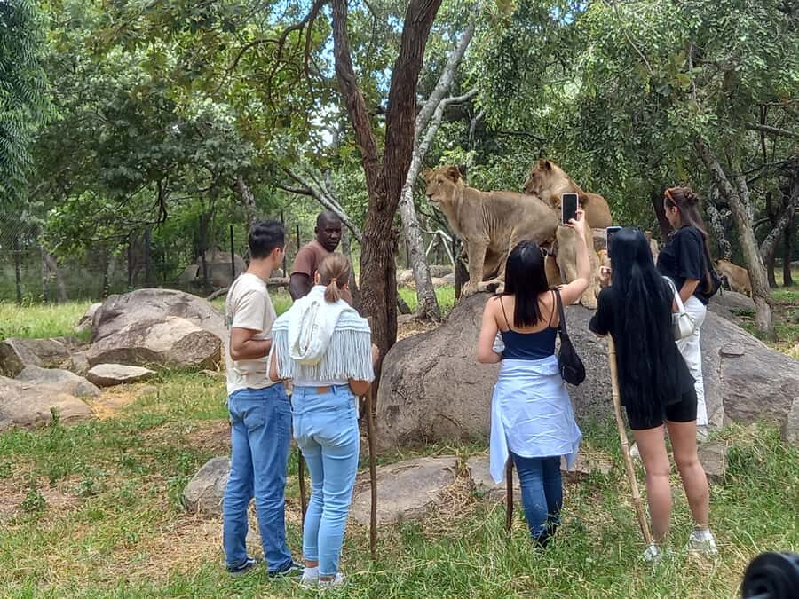 Harare: Half Day Outdoor Adventure - Quick highlights to know before you go