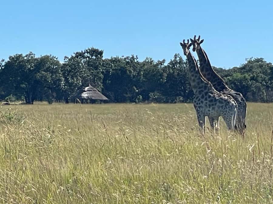 Harare: Half Day Outdoor Adventure - What’s included (and what you’ll need to handle yourself)