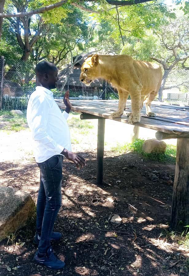 Harare: Half Day Outdoor Adventure - Harare drive-through: getting your bearings fast