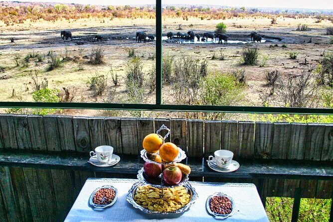 High Tea in the Savannah, Catering by Victoria Falls Hotel - Key highlights before you book