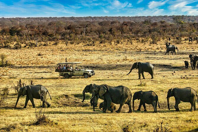 High Tea in the Savannah, Catering by Victoria Falls Hotel - Sunset on the savannah: using fading light to your advantage