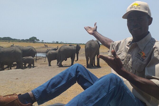 Hwange National Park Full Day Trip - Morning game drive (09:00–around lunch): elephants, buffalo, lions, and friends