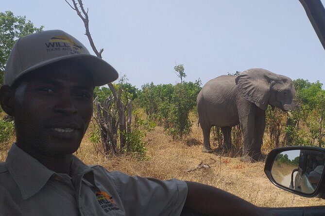Hwange National Park Full Day Trip - Lunch, transfers, and mobile ticket: what’s included and what you still need