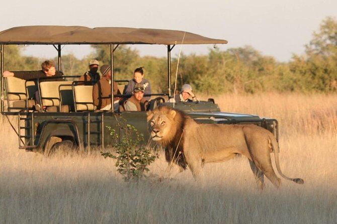 Hwange (Safari) Day Trip from Victoria Falls - The 6:00am start that makes a Hwange day work