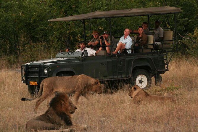 Hwange (Safari) Day Trip from Victoria Falls - Hwange National Park in an open-air jeep: what you’re really paying for