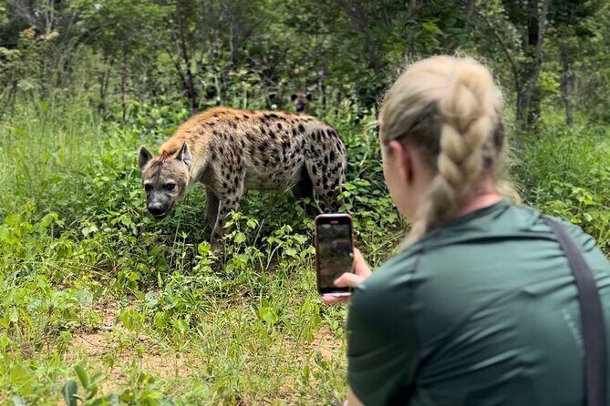 Lion & Wildlife Sanctuary Excursion Victoria Falls - Key Highlights That Make This Worth Your Time
