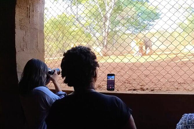Lion & Wildlife Sanctuary Excursion Victoria Falls - How This Sanctuary Excursion Works in Real Life