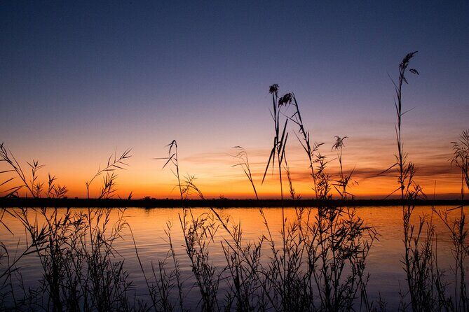 Luxury Sunset River Cruise on the Zambezi - Wildlife spotting on the Zambezi: what you should realistically expect