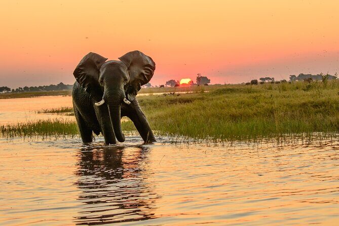 Luxury Sunset River Cruise on the Zambezi - Pickup and getting there: what’s included and what isn’t