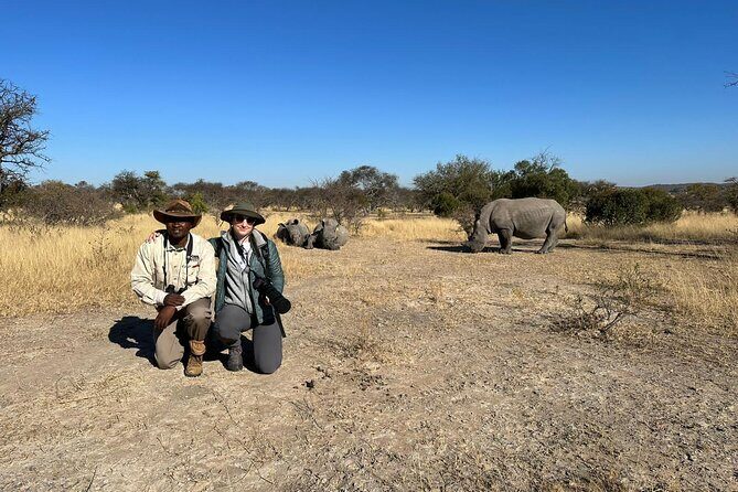Matobo Rhino Encounter - Key things that make this Matobo rhino encounter special