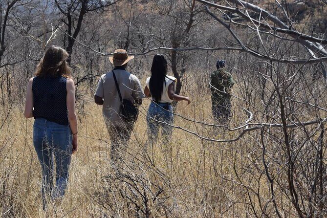 Matobo Rhino Encounter - Matobo’s white rhino tracking: what you’ll be doing