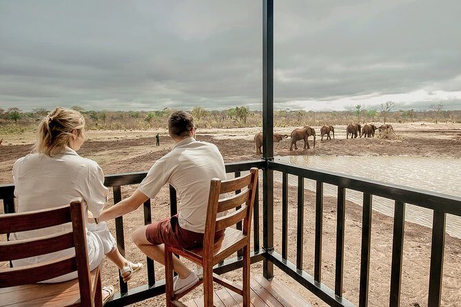 Moments with Elephants - Price and value: is $180 worth a one-hour encounter?