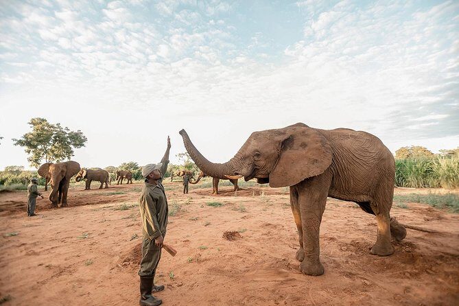 Moments with Elephants - Logistics that matter: pickup, tickets, and getting ready