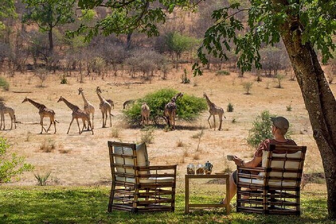 Morning or Afternoon Game Drive In Victoria Falls - Hotel pickup and the open safari vehicle: step-by-step flow