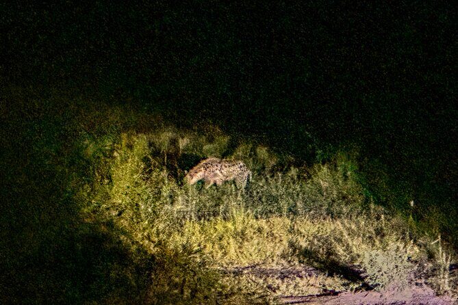 Night Game Drive in Zambezi National Park and Victoria Falls - Ele-crew dinner: the best kind of finish to a night safari
