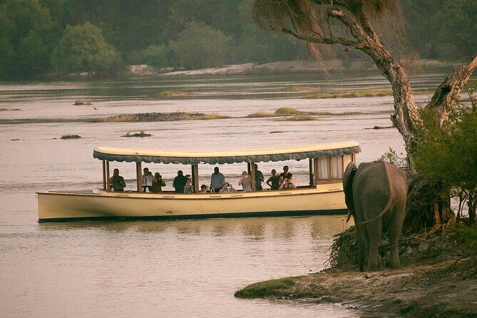 Ra-Ikane Luxury Sunset Cruise Victoria Falls - Zambezi National Park: your best chance at hippos, elephants, and birds