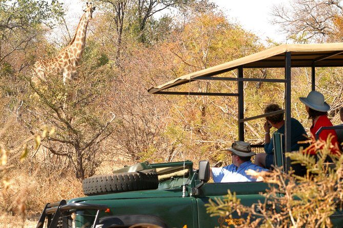 Safari Game Drive in Zambezi National Park with Hotel Pickup - The Value of Guide Alex and Real Local Spotting