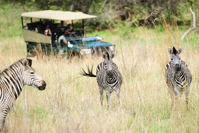 Safari Game Drive in Zambezi National Park with Hotel Pickup - Price and Park Fees: What You Pay vs What You Still Owe