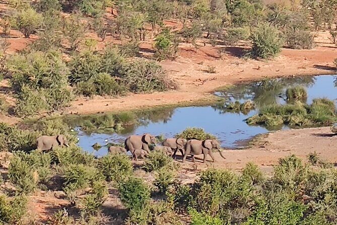 Safari in Victoria Falls and Zambezi National Park - The refreshment stop and high tea: a real break, not a tourist pause